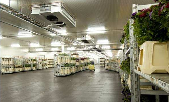 果蔬种植与加工行业