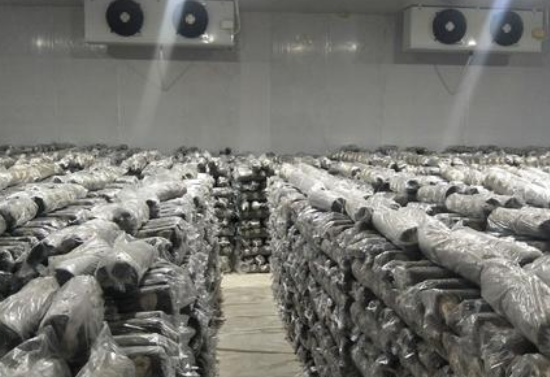 食用菌种植行业